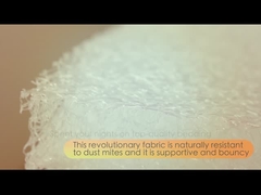 Introducción de la fibra del aire de U-micco POE